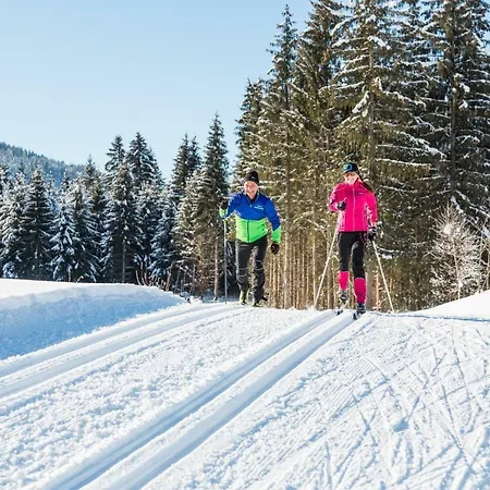 아파트 Haus Alton *